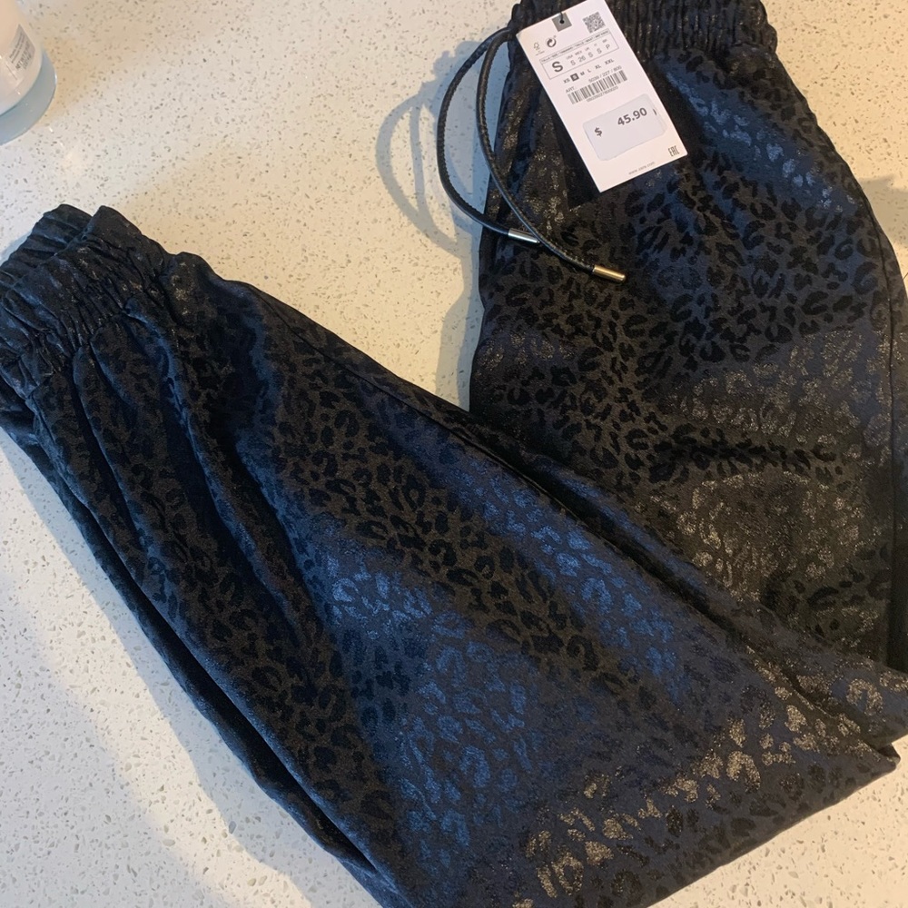 Zara jogger pants! Silky material!